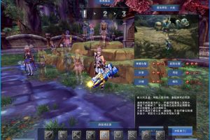 稀有精品网单【幻想神域v15】18职业VM一键单机端+中文汉化客户端+隐盟视频教程