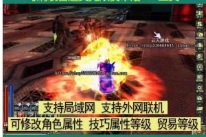 隐盟独家最新整理【新美丽世界宠物外漂端】VM一键单机版支持宠物外飘大翅膀可刷装备角色属性无限制无绑定版+隐盟视频教程
