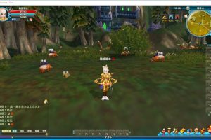 隐盟最新整理武林外传582新魔界130级版本VM一键单机版+隐盟视频教程+GM工具+完整商城+GM脚本命令及EL编辑器