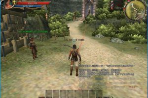 稀有精品怀旧网单【第九大陆玲珑端豪华版】最新整理VM一键单机版C9端完整任务物品代码+GM配套工具及命令